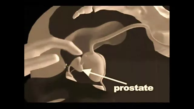 Te encantará porno con audio latino verme tomar una gran polla negra